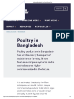 Poultry in Bangladesh - One Health Poultry Hub