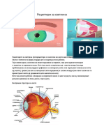 Рецептори за светлина