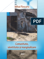 Comunitate Identitate Si Marginalizare