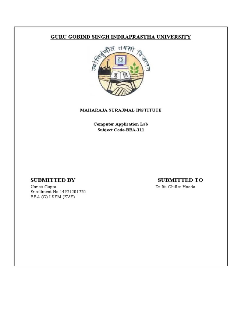 Computer Applications Assignment File by UNNATI GUPTA-14921201720 | PDF ...