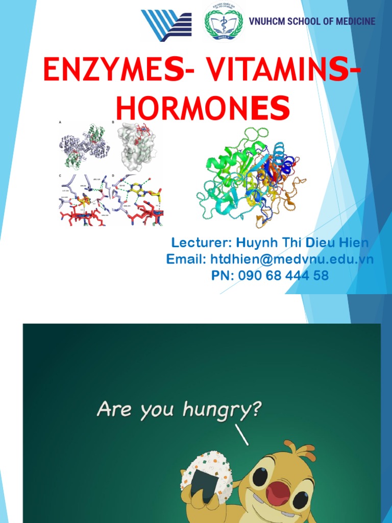 Chapter 3 Enzymes Hormones Vitamins PDF Enzyme Enzyme Inhibitor