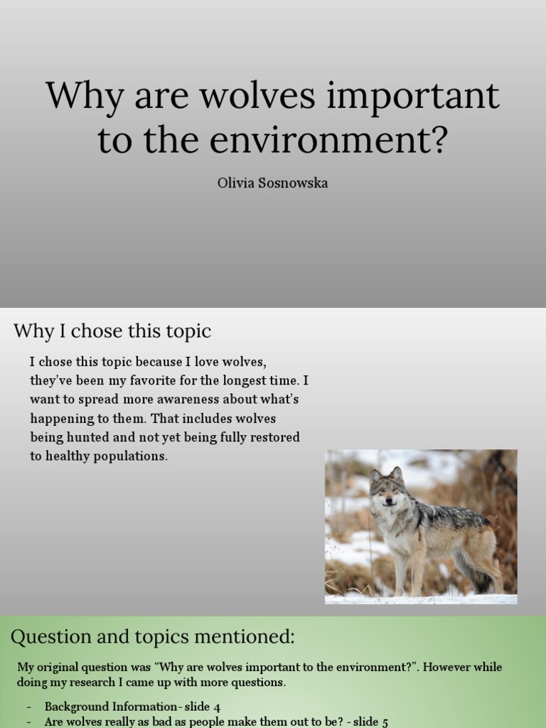Biology Passion Project Olivia Sosnowska PDF Elk Moose
