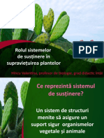 5.1. Sisteme de Susținere La Plante