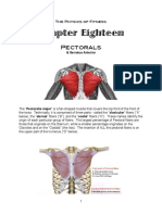 18 - Pectorals & Serratus Anterior