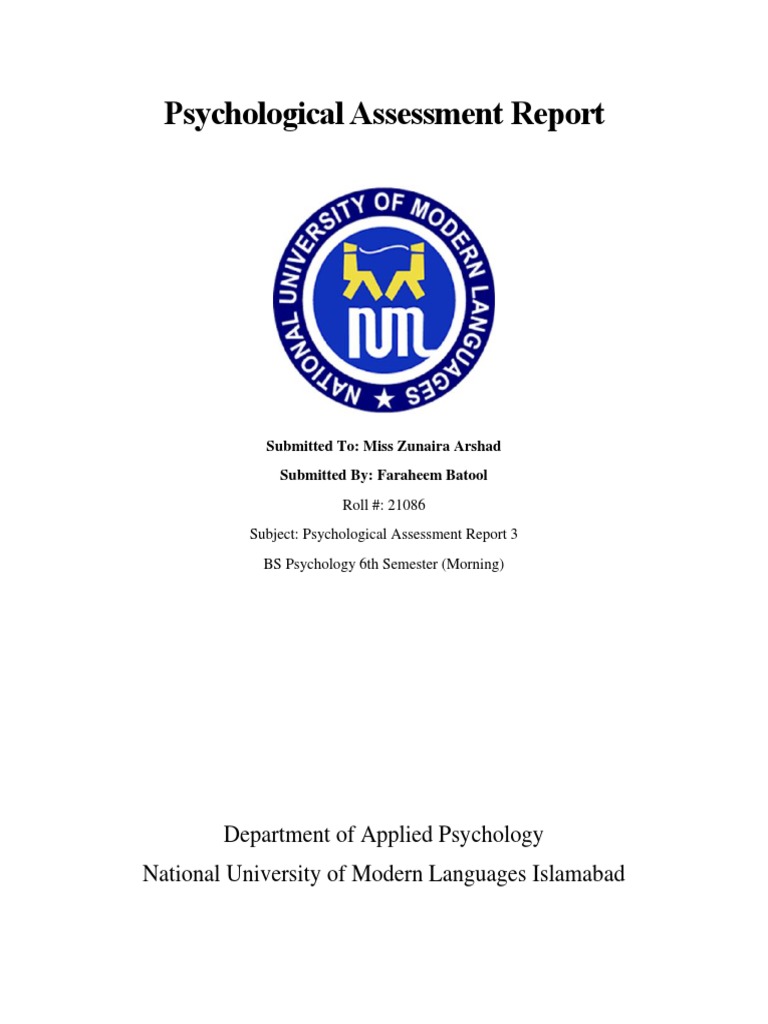 3rd Report PDF Depression (Mood) Psychological Evaluation