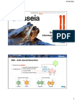 Apresent DNA-RNA