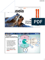 Apresent Replicacao-DNA