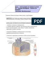 MED 1 - ASE 3 - Roteiro 2