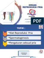 PTM 6 - Anatomi Fisiologi