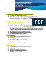 Estructura Del Trabajo Práctico Fundamentos de Auditoria - Pao Cuatro-1