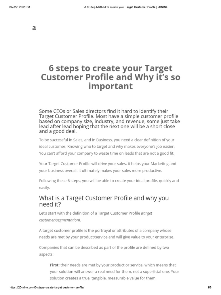 A 6 Step Method To Create Your Target Customer Profile 20NINE PDF