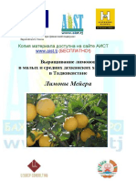 Шорейт Б., Ёрматов А. Выращивание лимонов в малых и средних дехканских хозяйствах в Таджикистане. Лимоны Mейерa  АгроИнформ