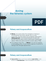 Fisheries System in Italy