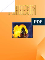 Flaresim