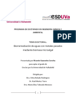 Tesis Doctoral - Ricardo Saavedra