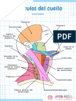 Anatomia de Los Musculos Del Cuello
