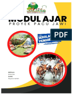 Modul Ajar Berdiferensiasi Proyek Pacu Jawi