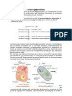 L02S1.3 Cels Procarioticas