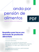 Demanda Por Pensión de Alimentos - Yvelise Arguinzones