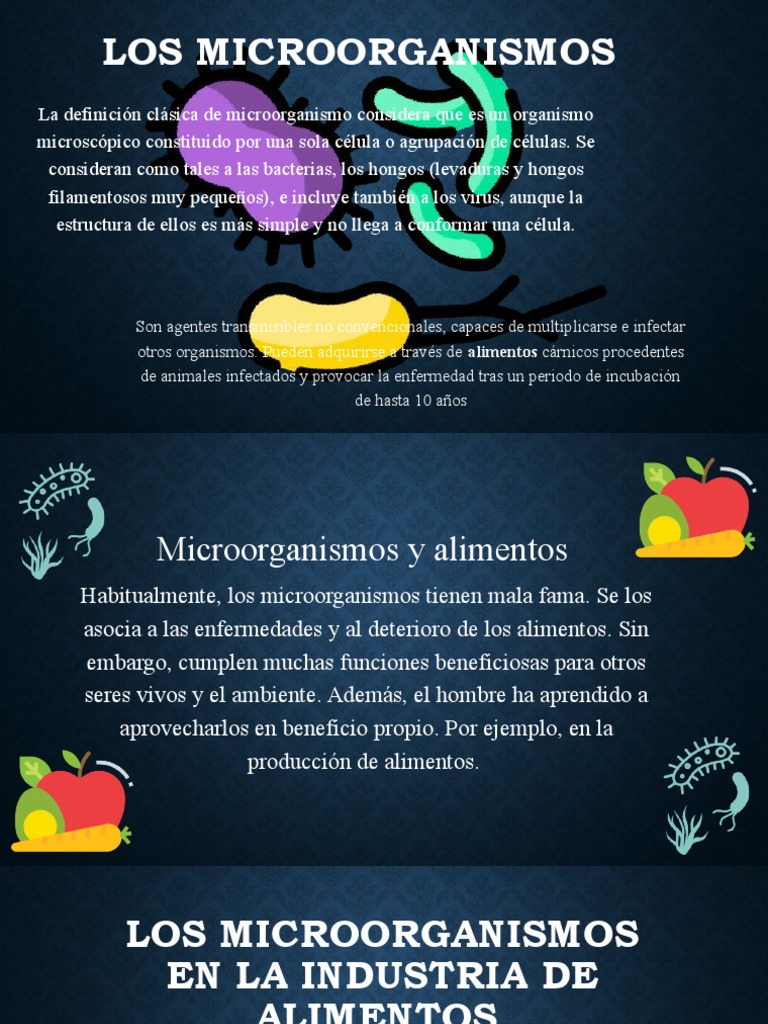 Los Microorganismos en La Industria de Alimentos | PDF | Fermentación ...