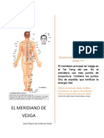 Meridiano de Vejiga 21 Al 25