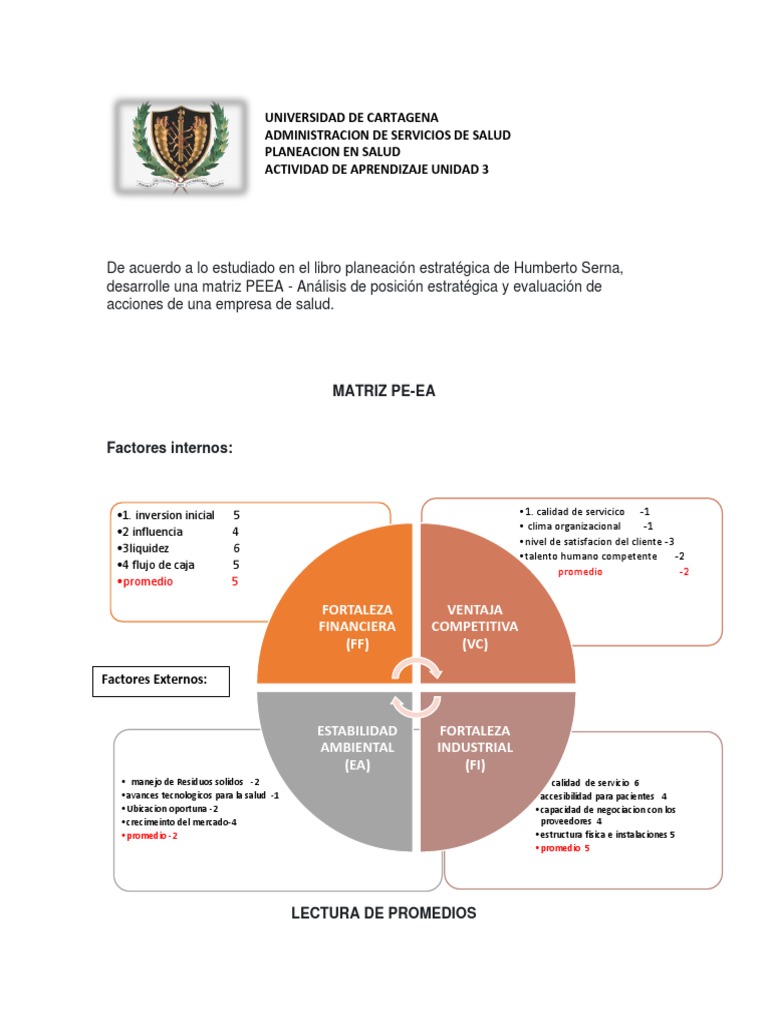 Matriz PEEA en Salud: Análisis Estratégico | PDF