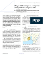 Epibionts Assemblage of Macroalgae in Mangroves Area at Bhavnagar District, Gujarat, India