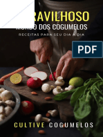 Receitas com cogumelos para seu dia a dia