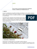 Floricultura_ Manual completo para producir rosas