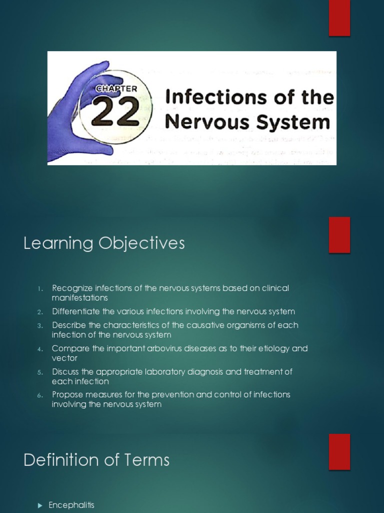 Nervous System Infections Overview | PDF | Meningitis | Infection