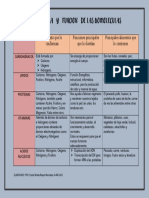 Estructura y Función de Las Biomoléculas