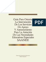 7 Guia para Orientar La Intervencion de Los Saanee