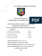 Informe 7 - Diagrama de Fases