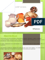 Protein As