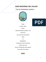 Reporte Lab Inorgánica, Carbono y Silicio