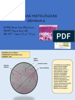 Láminas Semana 3