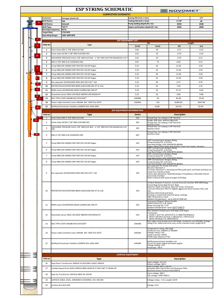 ESP Equipment Schematic for Petrogas | PDF | Stainless Steel | Pump