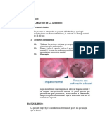 Informe Fisio 3