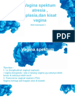 Vagina Spektum-WPS Office