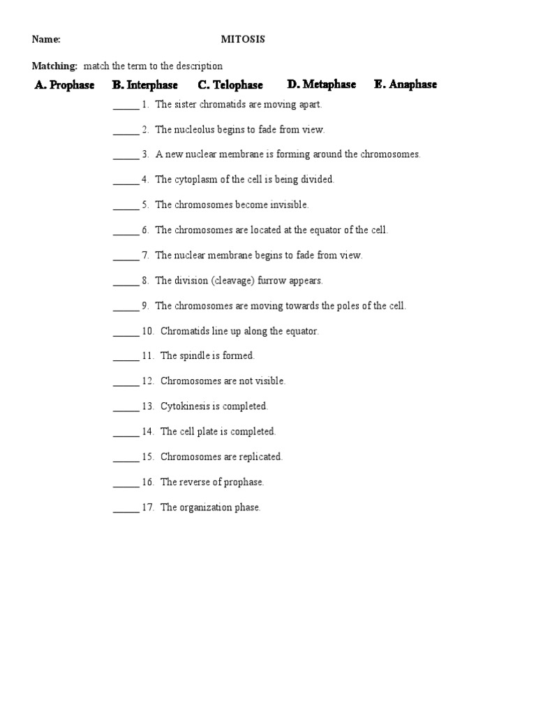 Crush Your Mitosismeiosis Quiz Expert Video Tutoring - 8q4kbtm