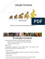 Aula 14 - Evolucao Humana