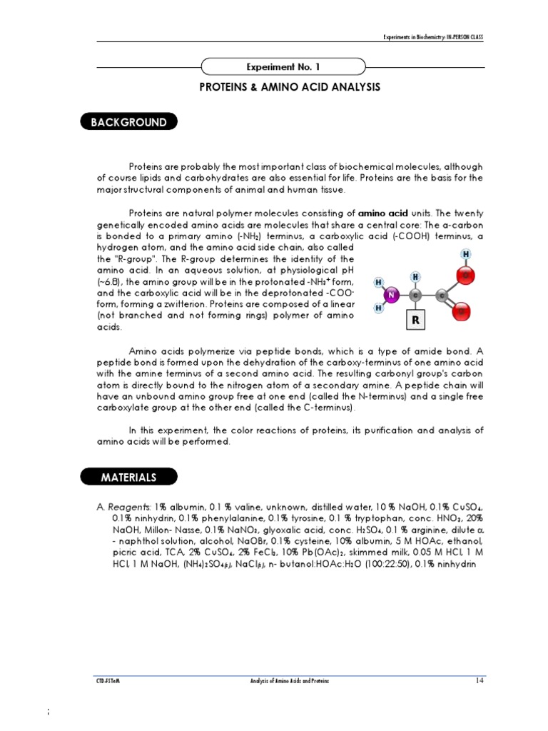 CHON Protein Analysis in Biochemistry | PDF