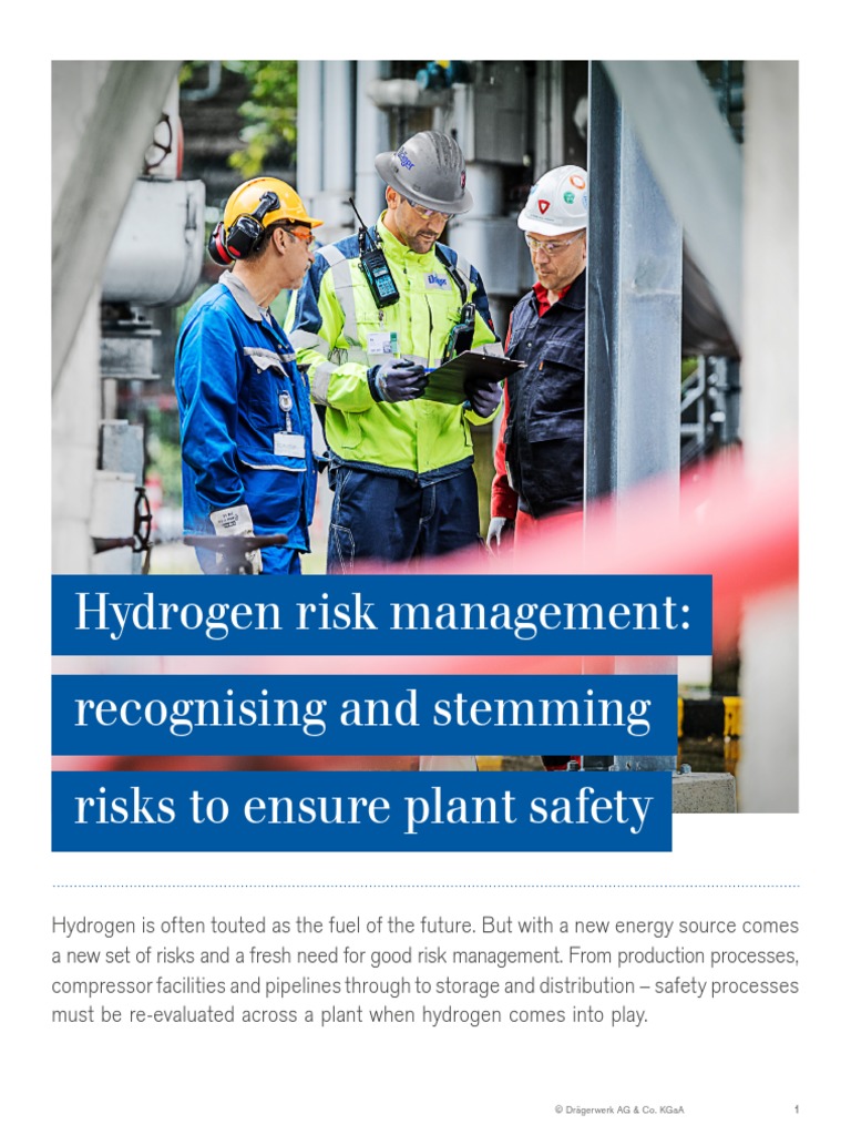 Hydrogen Risk Management WP PDF 103136 en Master | PDF | Carbon ...