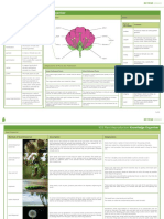 Plant Reproduction Knowledge Organiser