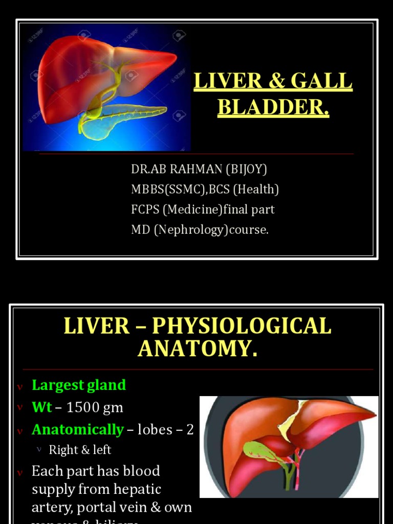Hepatobiliary SystemAnatomy & Physiology PDF Liver Bile