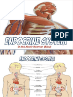 Endocrinology Physiology