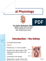 Renal Anatomy & Physiology