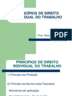 Princípios de Direito Individual Do Trabalho: Prof. Marcella Pagani