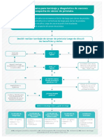 GPC NM Prostata Flujograma1