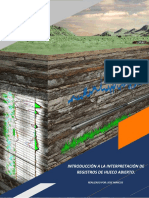 Interpretación Básica_Registros Hoyo Abierto_LPS